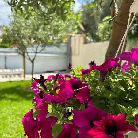 Johanna's Near The Sea - Olivia Apartment Agia Triada (Thessaloniki)